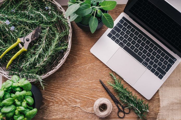 Best-GardeningWebsites for Aspiring Green Thumbs