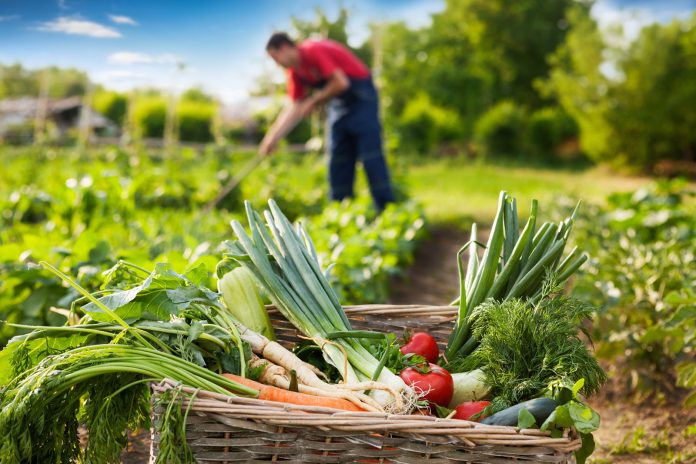 sustainability benefits of gardening