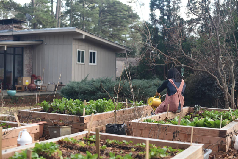 The Sustainability Benefits of Gardening 1 The Sustainability Benefits of Gardening 1