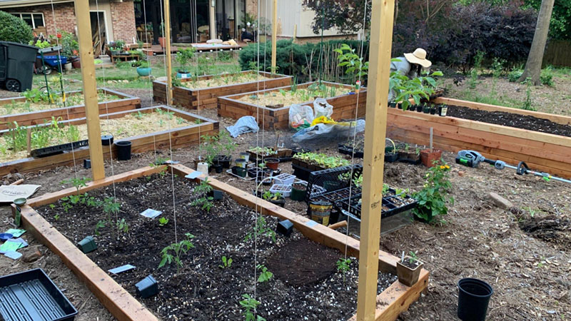 The Sustainability Benefits of Gardening 3 The Sustainability Benefits of Gardening 3