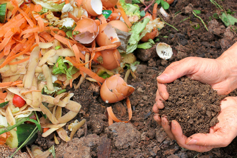 Countertop composting catches on among apartment-dwellers