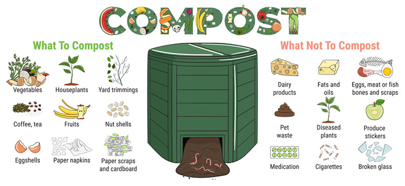 compost infographic