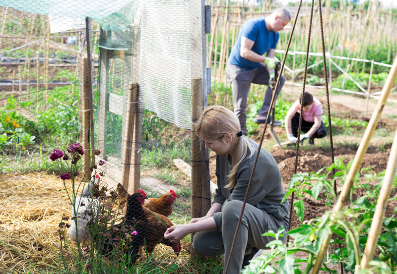 Self-Sufficient Lifestyle family