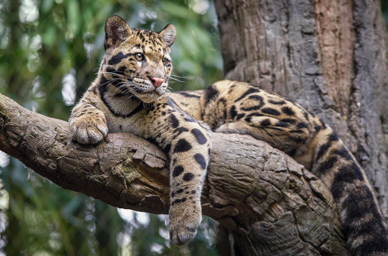 9 Eco-Tourism Destinations to Sustainably Cure Your Travel Bug 3 9 Eco-Tourism Destinations to Sustainably Cure Your Travel Bug 1