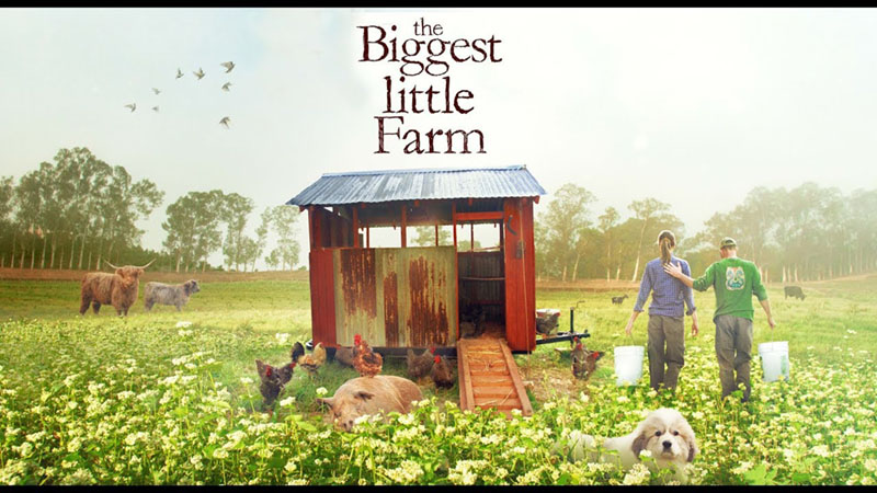 the biggest little farm