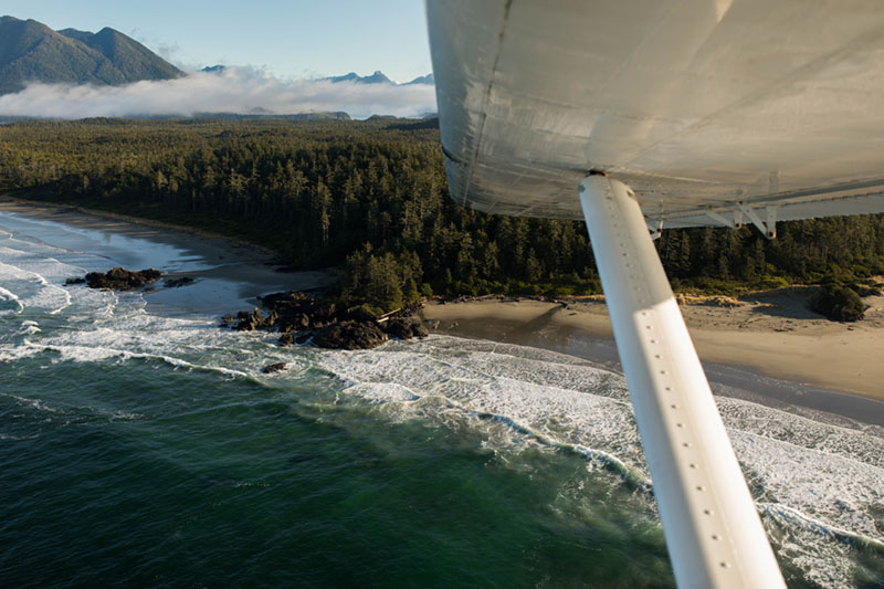 tofino canada eco tourism