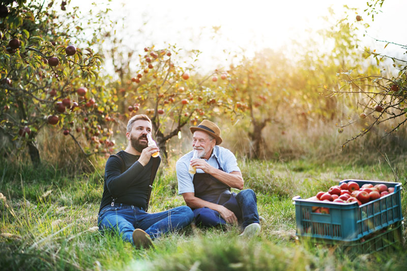 Eco-Friendly-Alcohol-cider