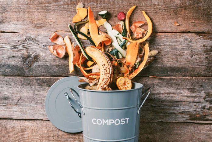 best eco friendly compost bins