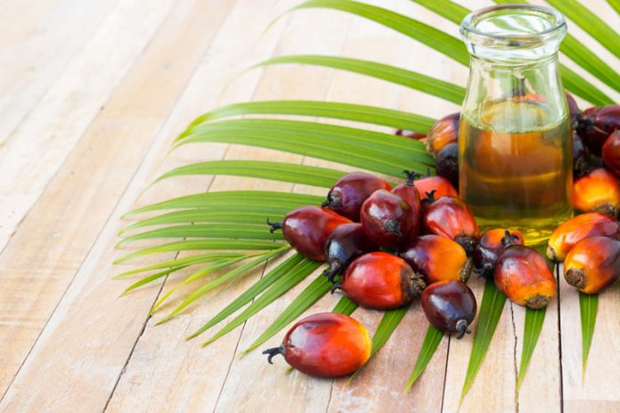 Sustainable-Palm-Oil-main