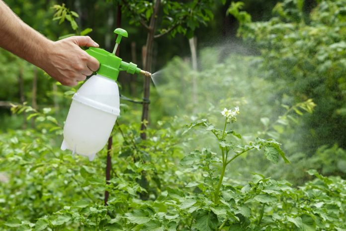 natural pesticide