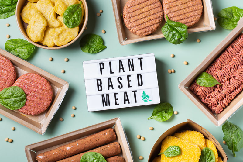 12 Best Plant Based Meat Alternatives Tamborasi