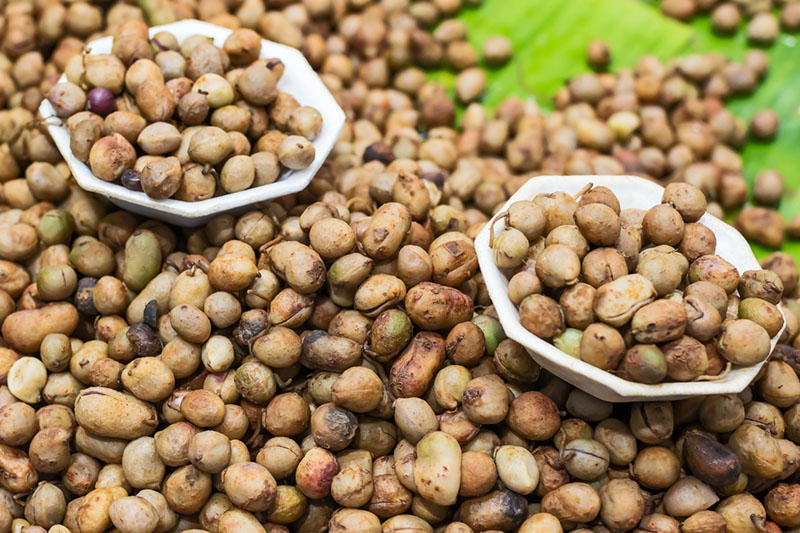 bambara groundnuts