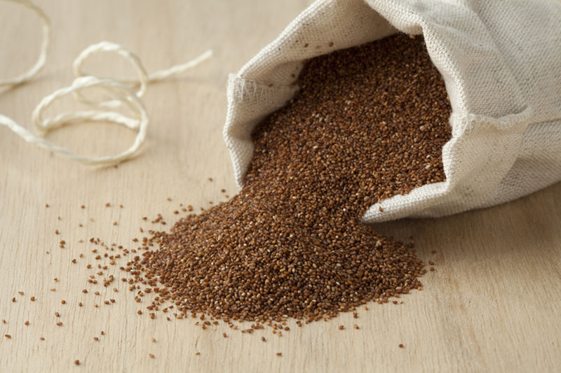 teff most sustainable foods