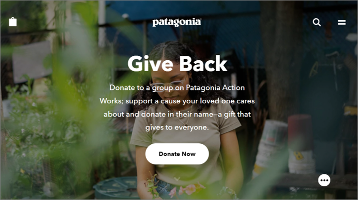 sustainable fitness brands patagonia